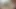 Cum Have Lunch with Me