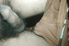 Pregled videozapisa
