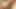 Застенчивая любовь возвращается Snahbrandy