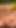 Bir evin havuzunu tamir ediyoruz ve sahibinin karısını seviyoruz - üçlü çift penetrasyon emaribeiro