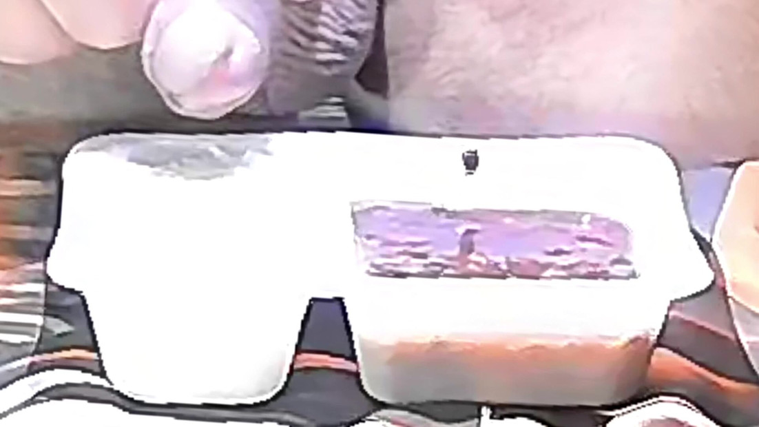 As requested, I piss something in my food. I will also improve.