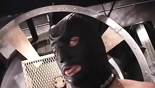 Behind the scenes footage of porn stars in action