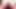 Trap80, anal sissy whore takes three dildos
