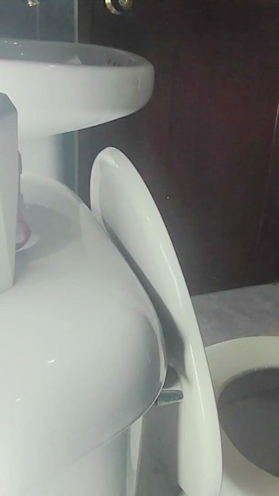 Stepsister Trapped in Public Toilet with Skirt and Sheer | Clip 1