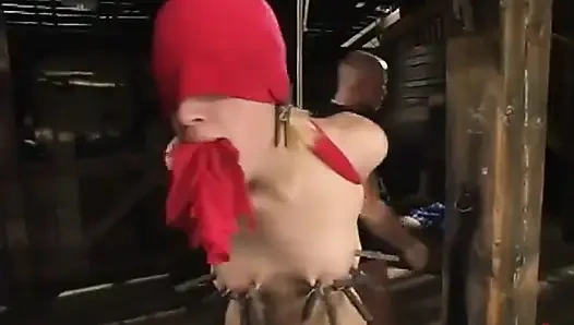 Mark Davis und Kimberly Kane