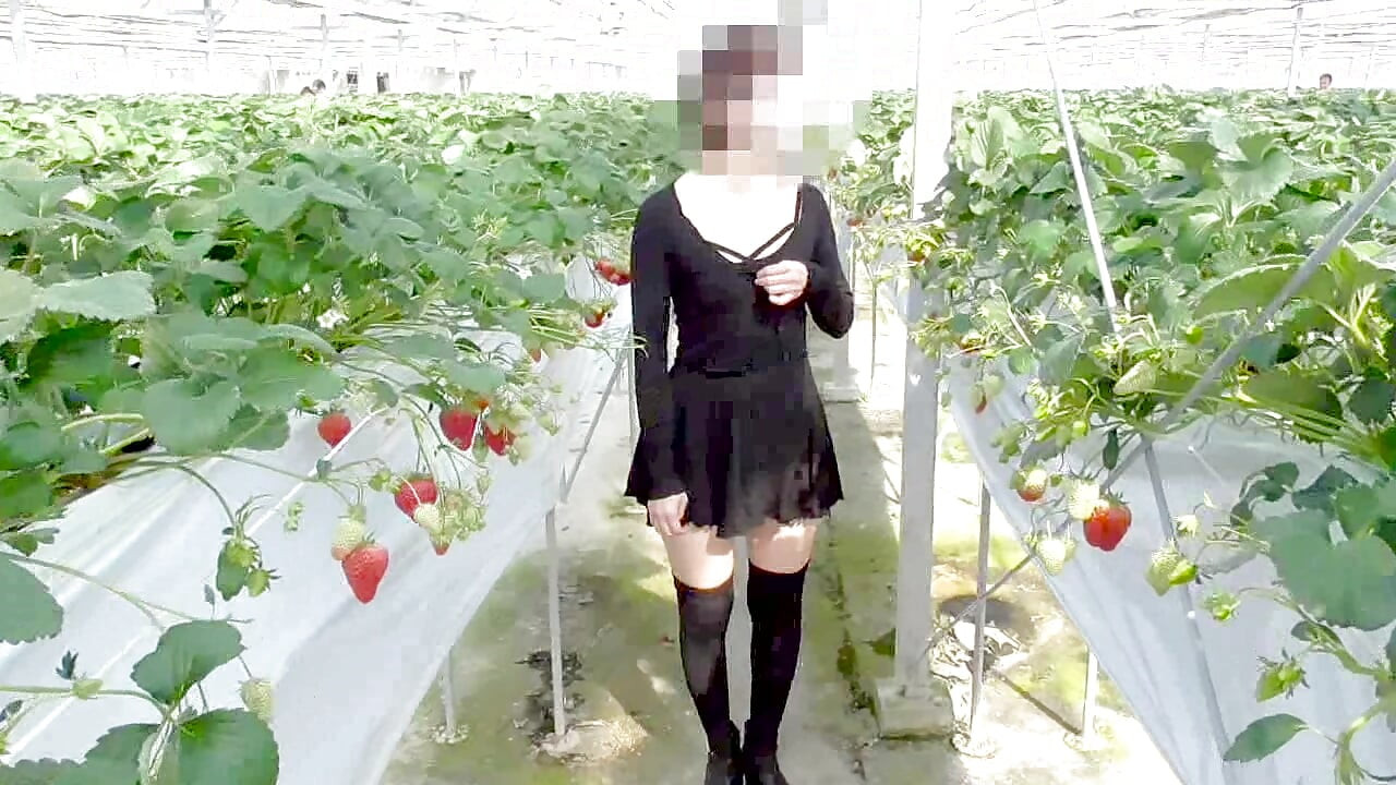 Uzun metrajlı derleme mayu no.44-46 cosplay, fışkırtma, derin gırtlak, konvülsiyonlar, teşhircilik, sperm yutma