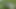 messy green water...