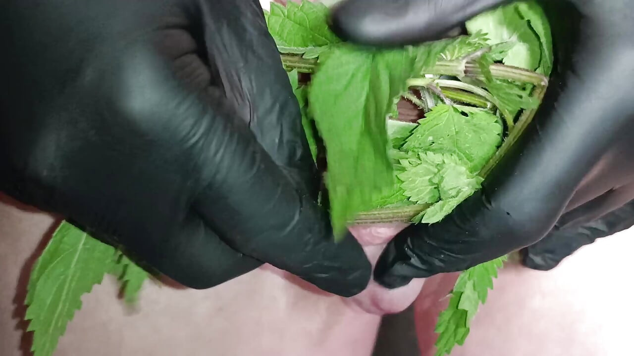 Nettle