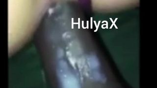 HulyaX