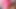 Red tits - triple view