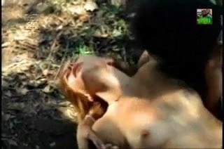 sensation in the wood