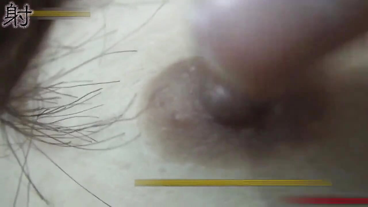 Slutty Asians. So hairy and wet