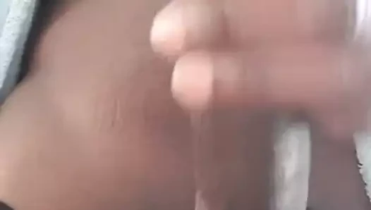 Benim bbc için beyaz kedi