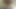 0009rt
