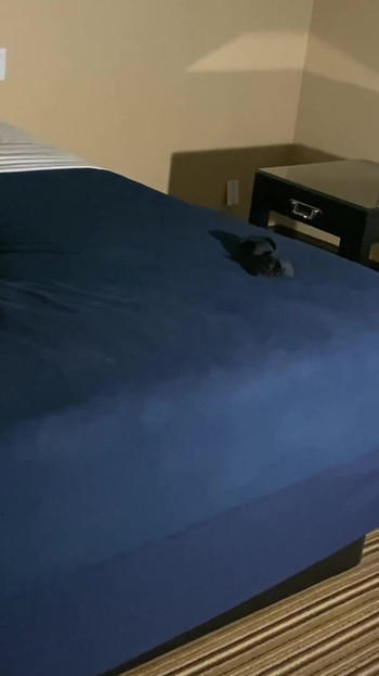 مغامرات المربين السود 193