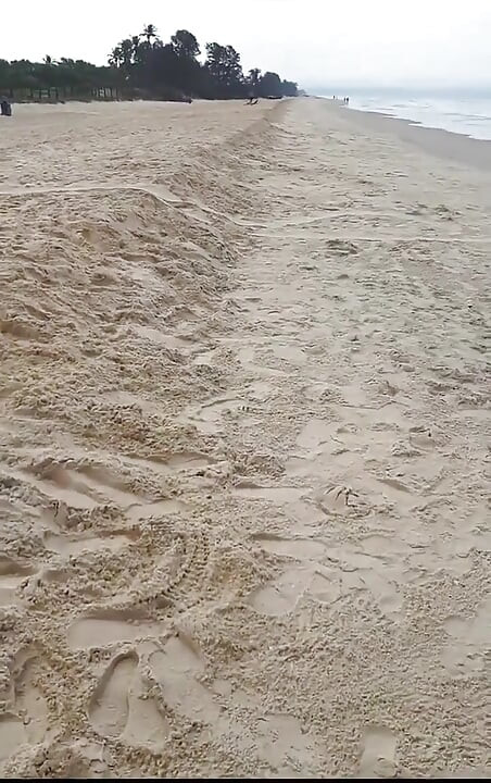 571333286618476544