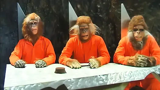 Kadifemsi kıçının tutsağı