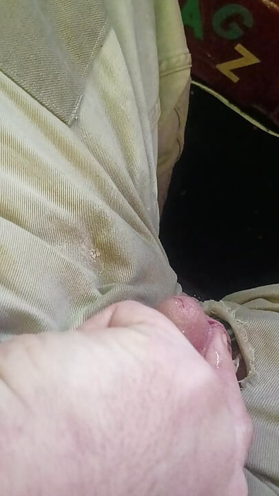 Piss Pig Fag boy