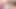 Busty hamile Hint arab bbw olduğunu oynama ile ona kıllı kedi ve sürtme ona büyük sulu göğüsler