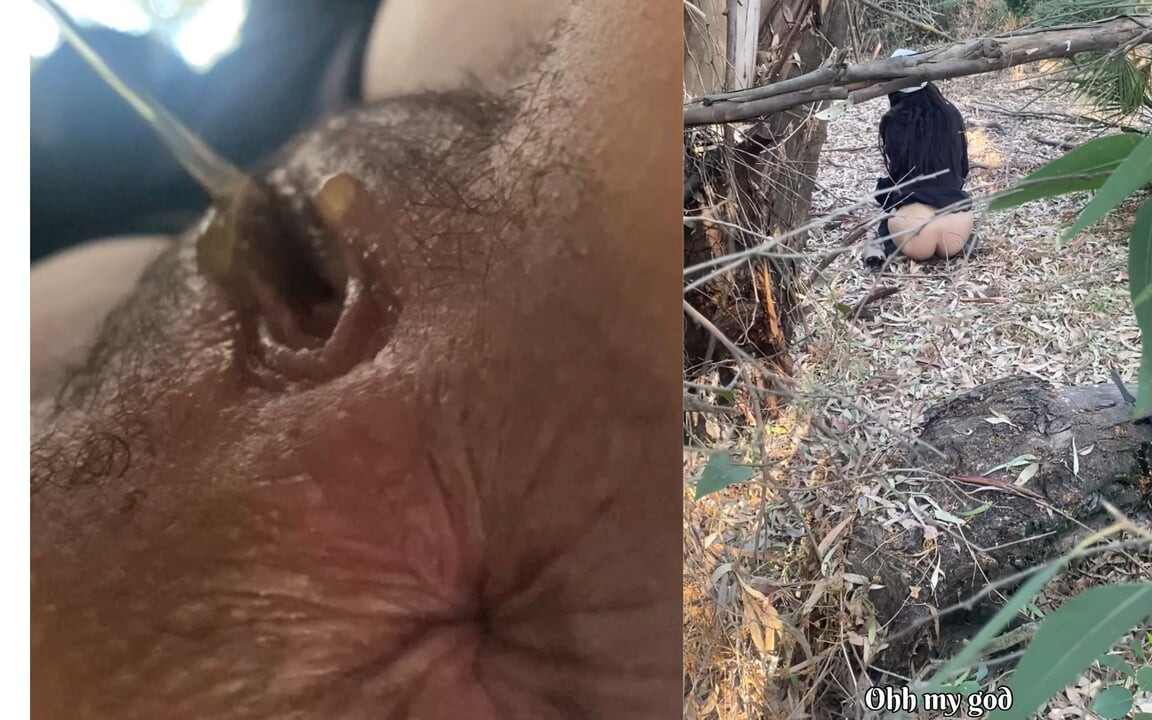 Conhecendo um estranho na selva, suc um cavalheiro