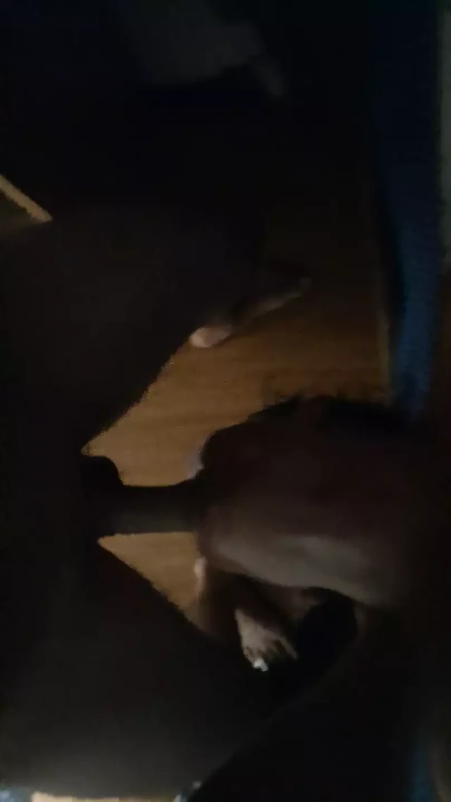 Deepthroat upsidedown