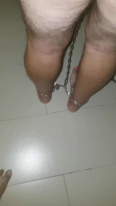 Piggy in chains