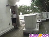 Pregled videozapisa