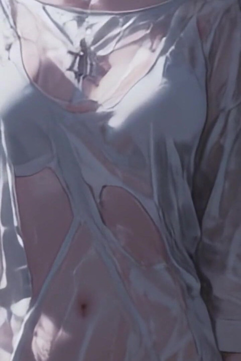 Beyond the Veil of Shiro