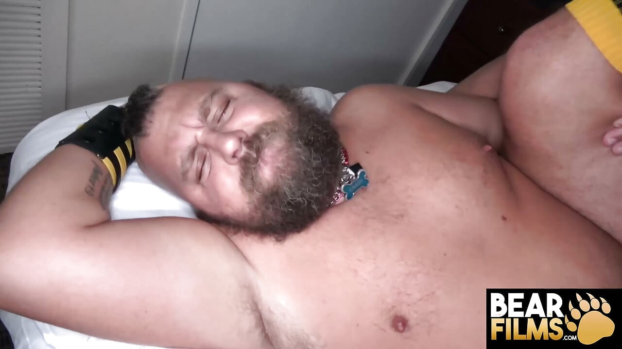 BEARFILMS Submissive Pup Crash Bends Over For Rough Pounding From Clause Nomi