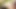 Best Scenes Of Stunning All Natural Beauty Abella Danger