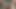 ANY PORN PRODUCERS?