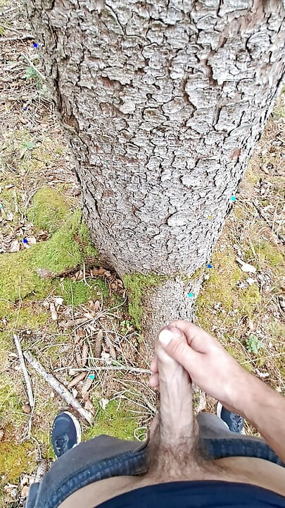 나무는 이것의 영향을 받습니다.