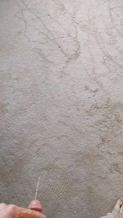 Pissing on my bedroom carpet