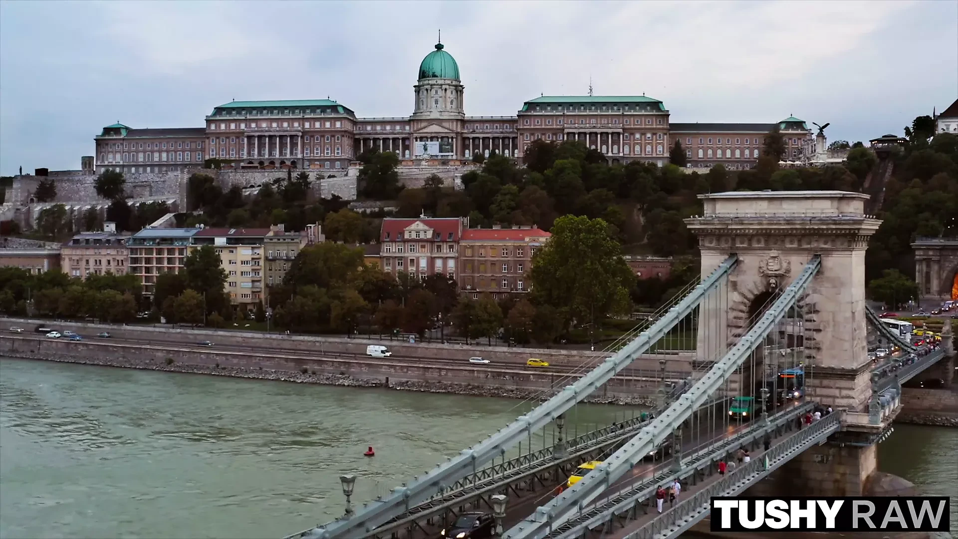 Tushyraw ця модель любить жорсткий член в дупу