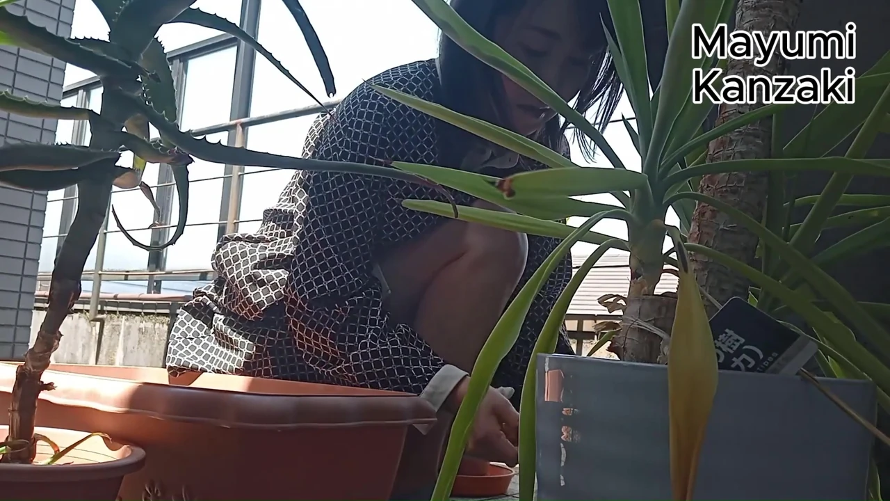 I Pee in the Potted Plant Again