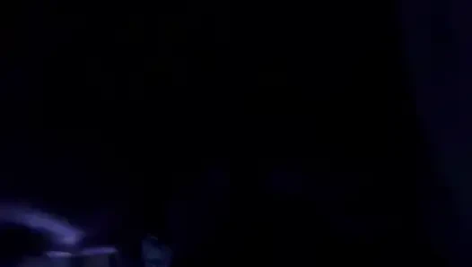 Kätzchen lutscht schwanz