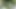 amateur bbw interaccial sex