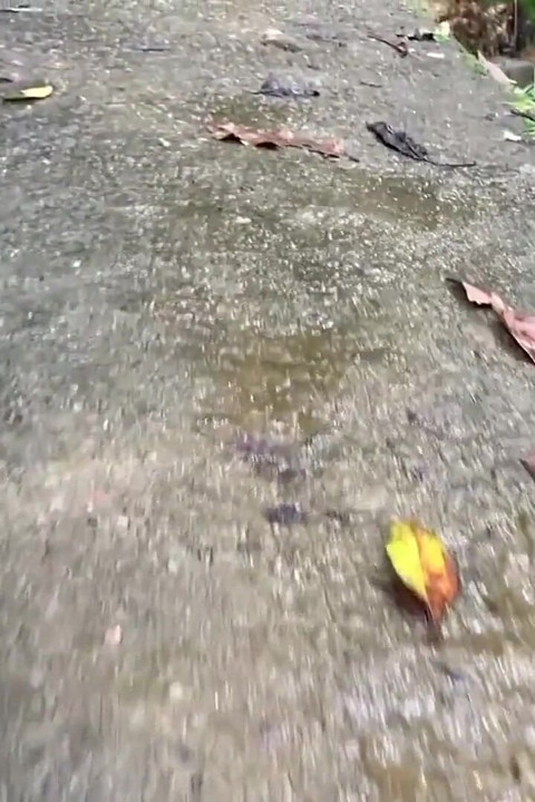 Sri Lankan Natural Girl Bathing