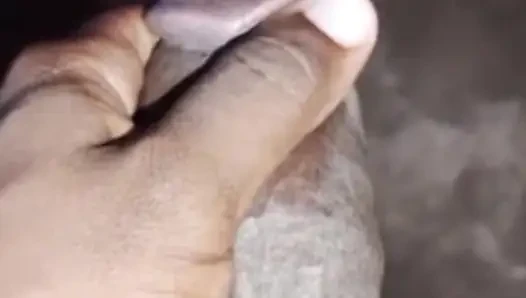 Sudanes cock