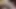 Asian Angel 26541