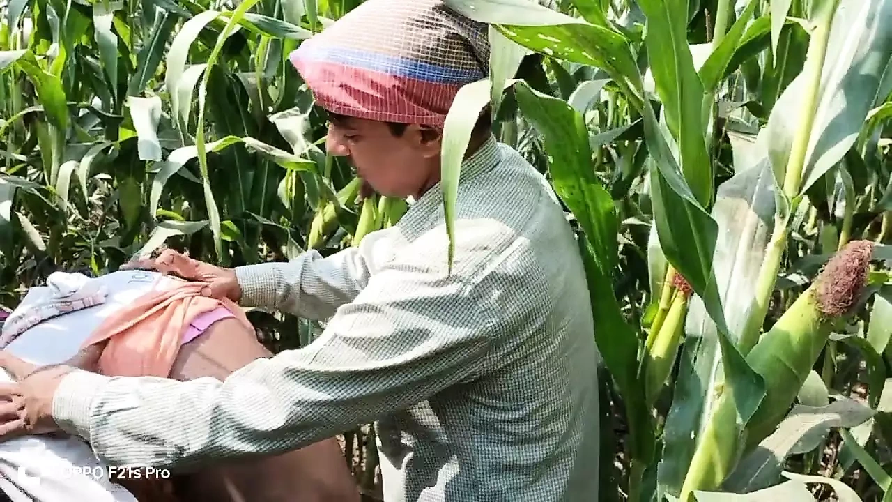 Indian Threesome Gay – A farm laborer and a farmer who employs the laborer have sex in a corn field – Gay Movie In Hindi voice