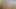 Big cock bisexual boy doing risky naked masturbation on the forest