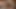 何でもセクシーなオランダ
