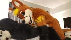 play fursuit with friend