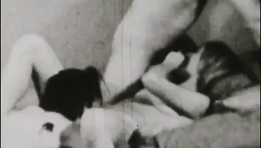 Bermain dengan kelinci