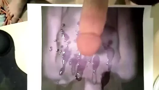Zencefilli kedi için haraç