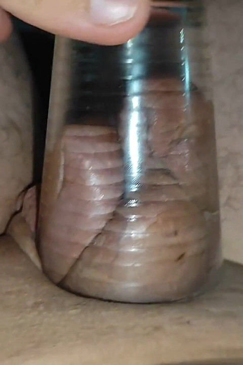 Тато досягає надзвичайного тиску на загрожений член