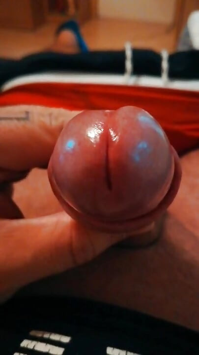 Penis