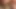 Amateur Blowjob From Horny Wifey