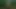wanking in the woods